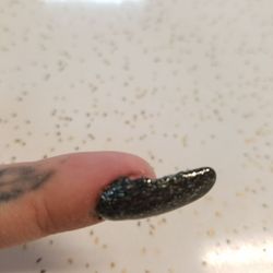 Best Nails - A 5yr old could have done a better paint job! Better filing as well.... absolutely horrible! This place is dirty, rude and the worst!