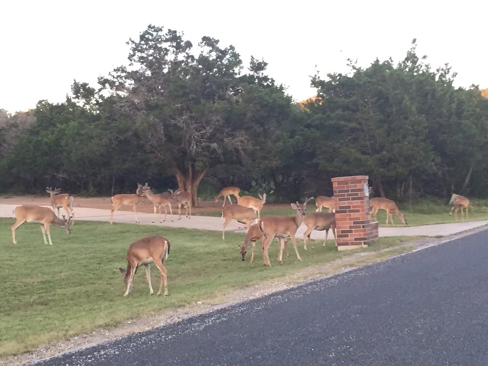 TIMBERWOOD PARK Updated August 2024 15315 San Pedro Ave, San