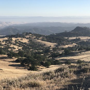 Hogs Wild Hunting Ranch - Wildlife Hunting Ranges Near Me - Coalinga, California Hogs Wild Hunting Ranch - Wildlife Hunting Ranges Near Me - Coalinga, California