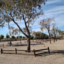 Lake Havasu RV Resort & Campground - Closed on this side