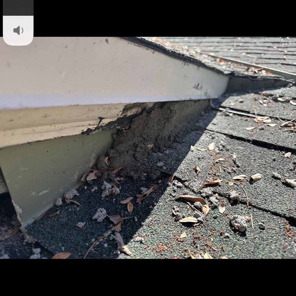 360 Rodent Control - Pest Control Near Me