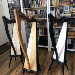 KL Music Studio - Student harps -- Dusty Strings Ravenna 26 and 34
