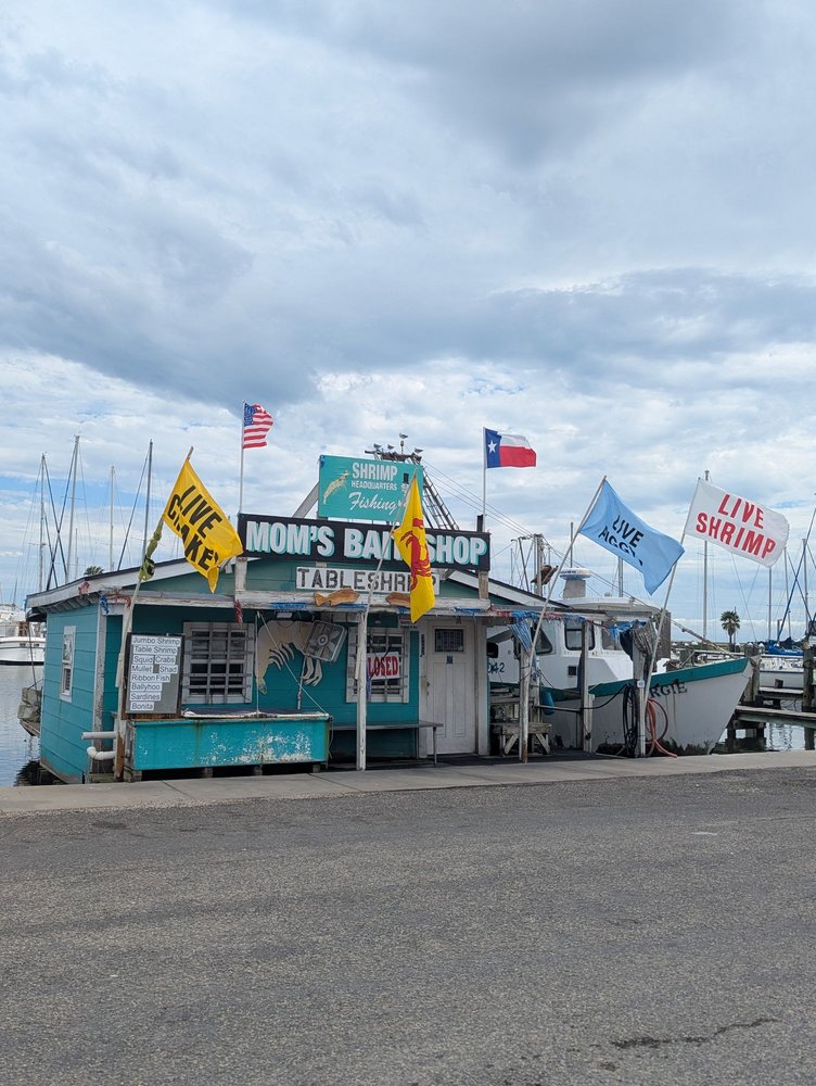 Rockport-Fulton Chamber of Commerce & Visitors Center - social services organization in Rockport, TX