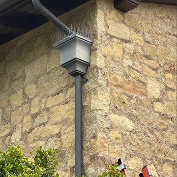 Advanced Wildlife Removal - Super dense and strong metal spikes did the job! Thanks Orchard! - Pest Control Near Me