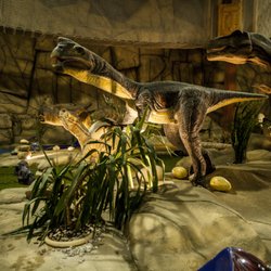 Dino Adventure Park - Dinopark