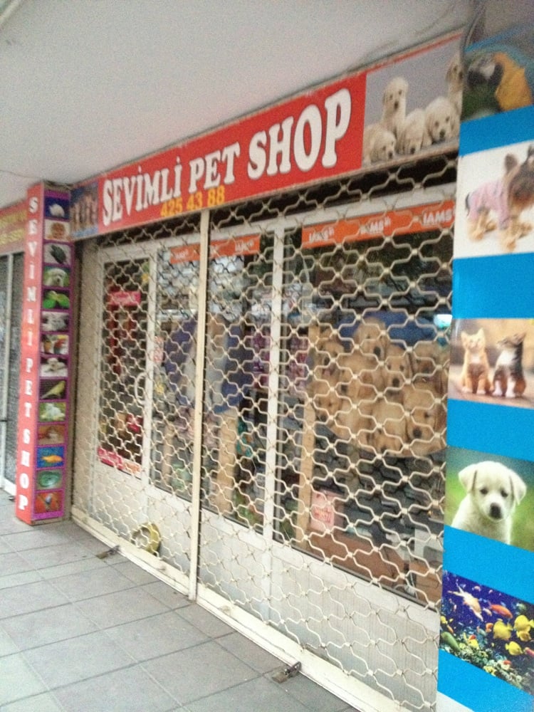 SEVIMLI PET SHOP Updated August 2024 Mithatpaşa Cad. 352/ E, İzmir