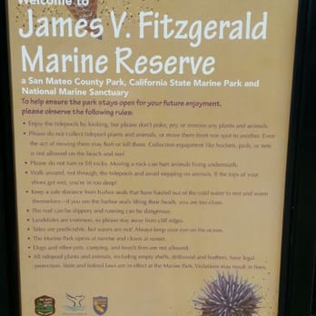 Fitzgerald Marine Reserve - Parks Near Me - Moss Beach, California Fitzgerald Marine Reserve - Parks Near Me - Moss Beach, California