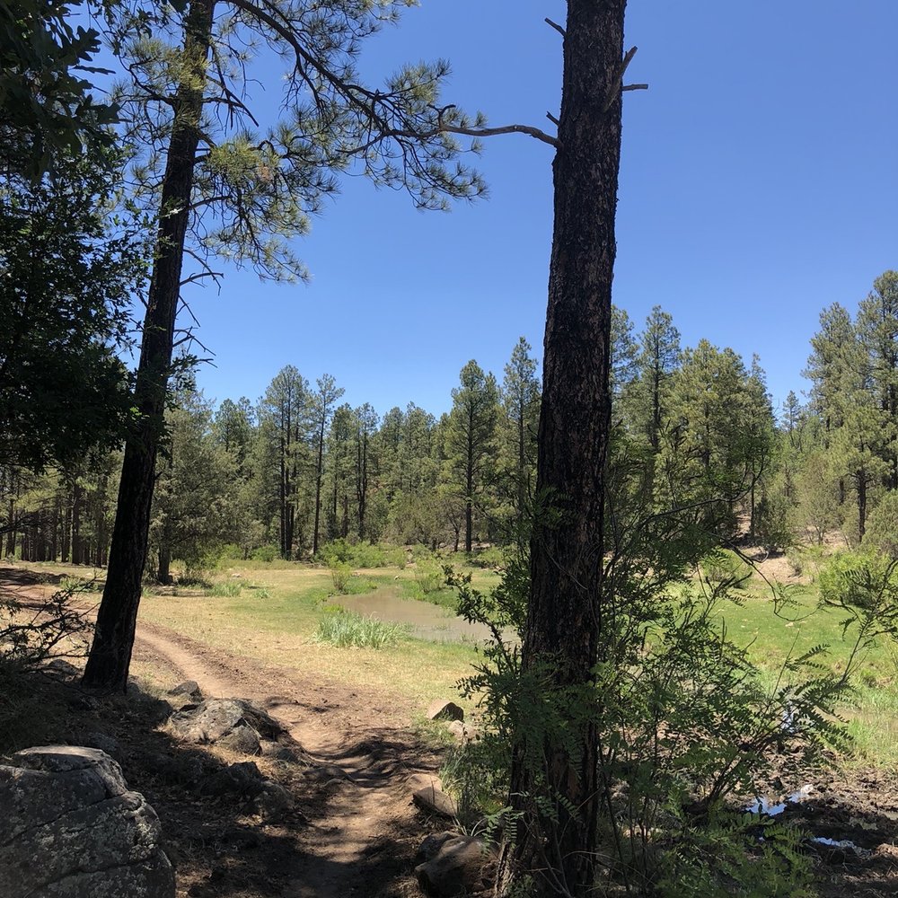 Blue Ridge Cave Trail - Hiking Near Me - Lakeside, Arizona Blue Ridge Cave Trail - Hiking Near Me - Lakeside, Arizona