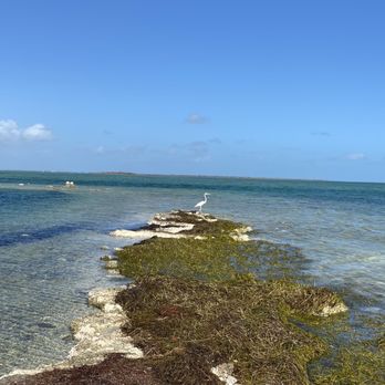 Horseshoe Beach - Beaches Near Me - Big Pine Key, Florida
