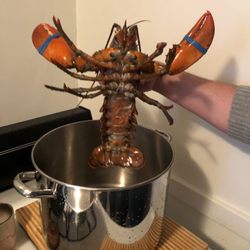 Lobster Bros Seafood - They were huge!