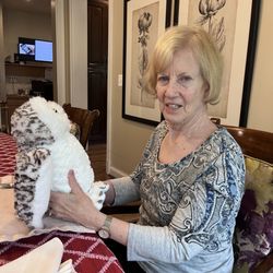 N2SHAPE - Bribing a senior client with an owl so that she will agree to go on a walk in the sunshine!