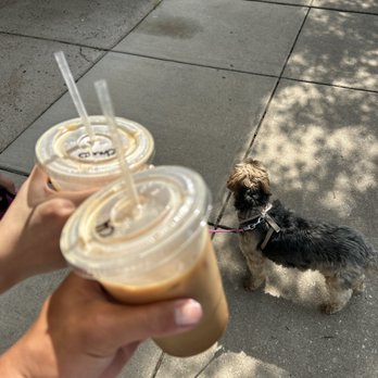 Roggenart - Iced Coffee - Bakeries Near Me - Towson, Maryland Roggenart - Iced Coffee - Bakeries Near Me - Towson, Maryland
