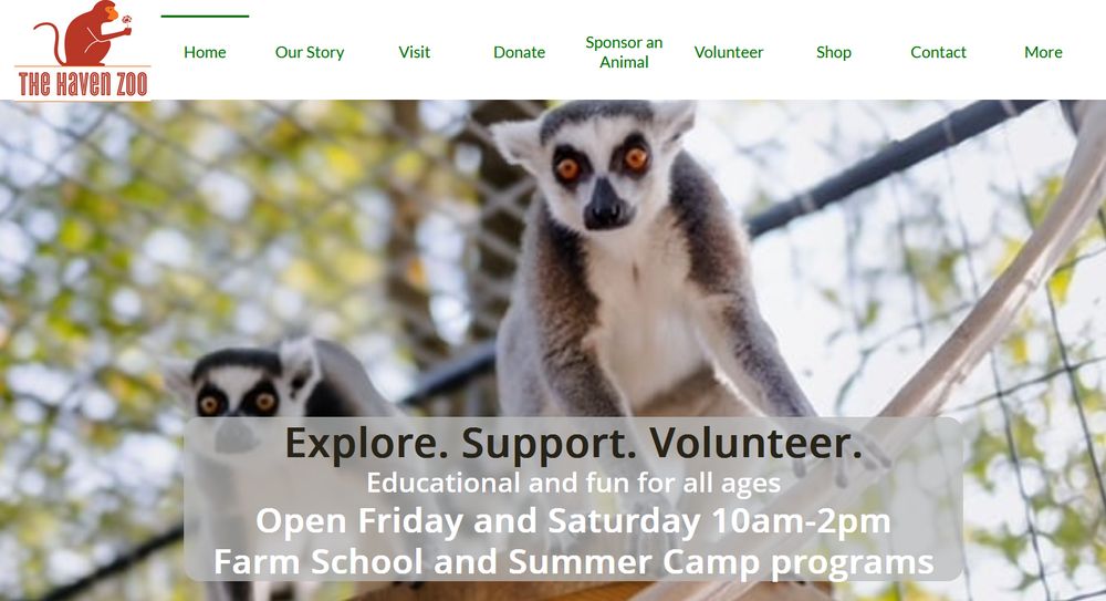 Social spots from The Haven Zoo