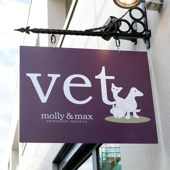 Molly and Max Veterinary Practice - Veterinarians Near Me - London, XGL Molly and Max Veterinary Practice - Veterinarians Near Me - London, XGL