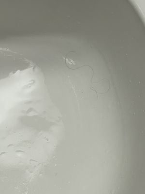 Ramada Plaza by Wyndham West Hollywood Hotel & Suites by null