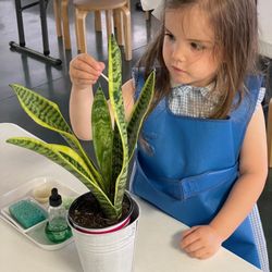 Montessori Weaver School