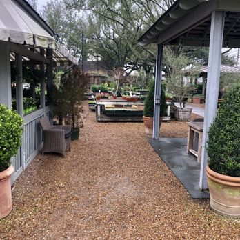 Tiny Boxwoods - Outside! - New American Near Me - Houston, Texas Tiny Boxwoods - Outside! - New American Near Me - Houston, Texas