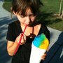 Photo of Sno Ball Express