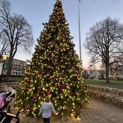 Morristown Green