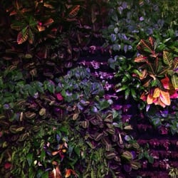 The Green Room - The Green Room Wall