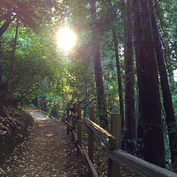 Huddart County Park - Parks Near Me - Woodside, California
