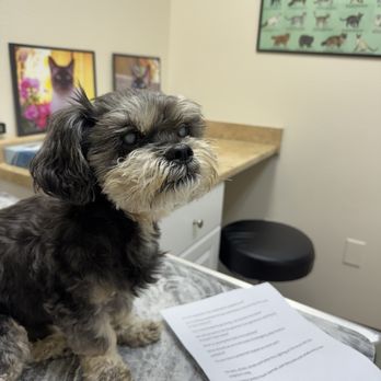 French Valley Veterinary Hospital - Veterinarians Near Me - Winchester, California French Valley Veterinary Hospital - Veterinarians Near Me - Winchester, California