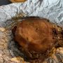 Photo of Fat Al’s