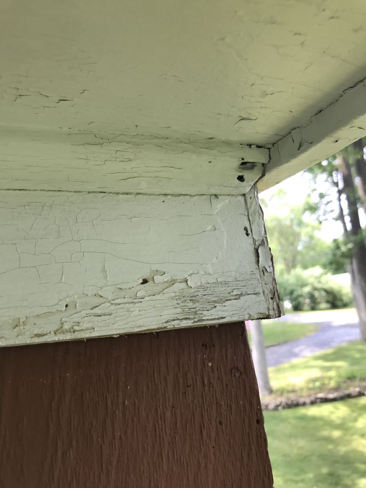 Slide of Pro-Touch Finishings