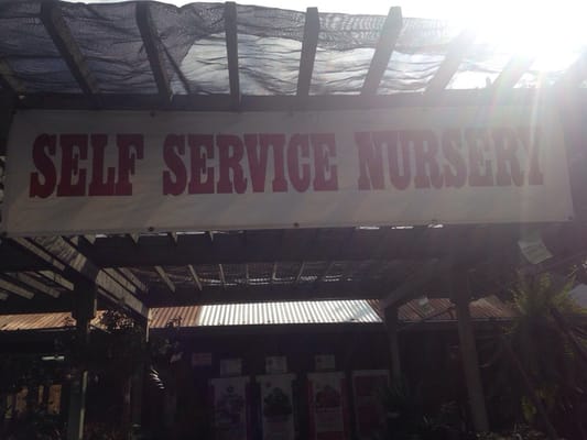 Central Wholesale Nursery - 178 Photos & 82 Reviews - Nurseries