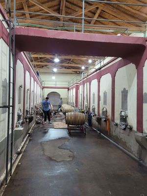 Clos de Chacras, bodega y restaurante by null
