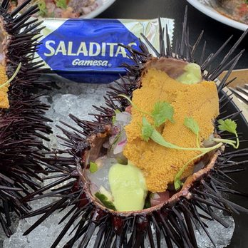 Holbox - Kanpachi & Uni Tostada - Latin American Near Me - Los Angeles, California