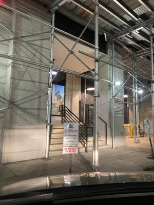 chewy buddy biscuits