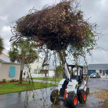 Panhandle Bucket Work - Tree Services Near Me - Rosemary Beach, Florida Panhandle Bucket Work - Tree Services Near Me - Rosemary Beach, Florida