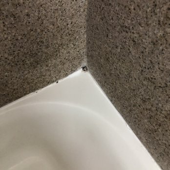 La Quinta by Wyndham Houston Rosenberg - Mold in tub - Hotels Near Me - Rosenberg, Texas