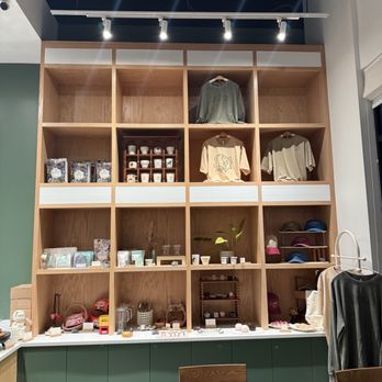 Cuddlefish - Inside - Coffee & Tea Near Me - Dunwoody, Georgia