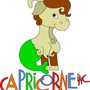 Photo of Garderie Educative Capricorne