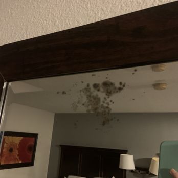 Hampton Inn Nashville/Vanderbilt - MOLD !!!! - Hotels Near Me - Nashville, Tennessee Hampton Inn Nashville/Vanderbilt - MOLD !!!! - Hotels Near Me - Nashville, Tennessee