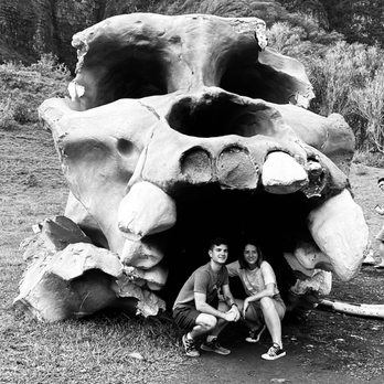 Kualoa Ranch - Tours Near Me - Kaneohe, Hawaii Kualoa Ranch - Tours Near Me - Kaneohe, Hawaii