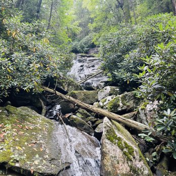 Butcher Branch Trail - Butcher Branch Falls. - Rock Climbing Near Me