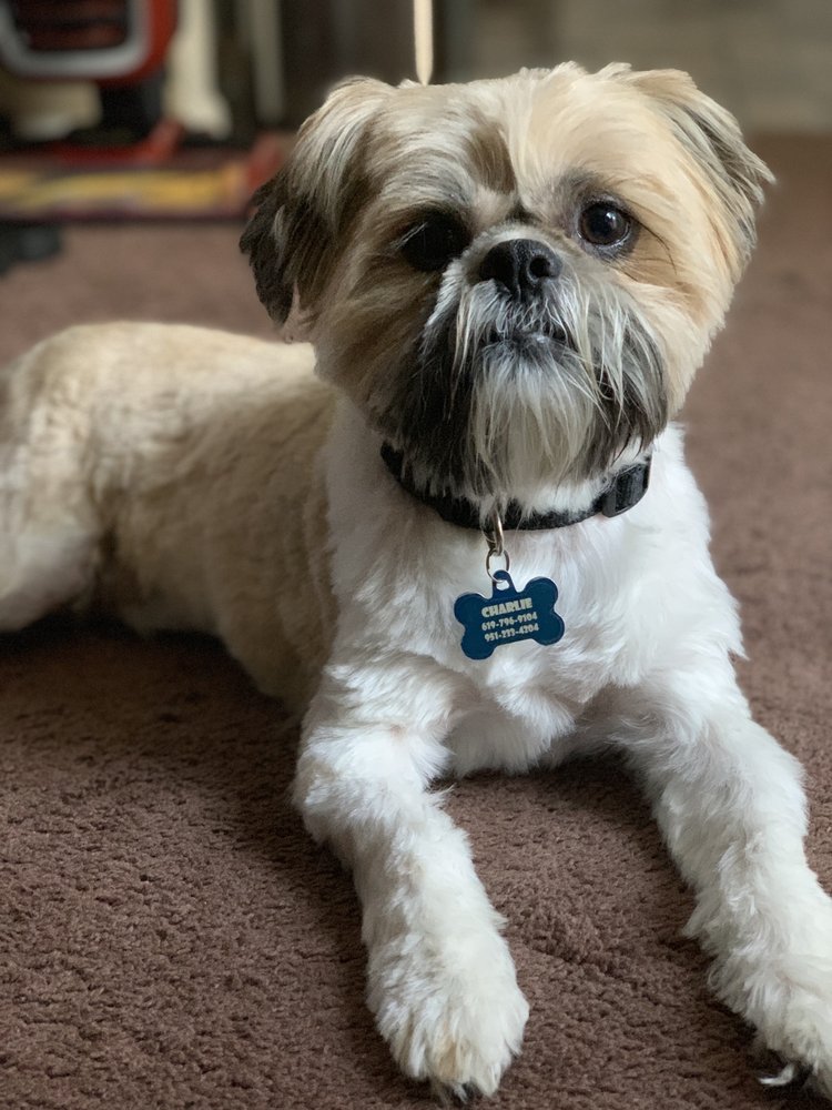 PETCO 62 Photos & 163 Reviews Pet Stores 27580 W Lugonia Ave, Redlands, CA Phone Number