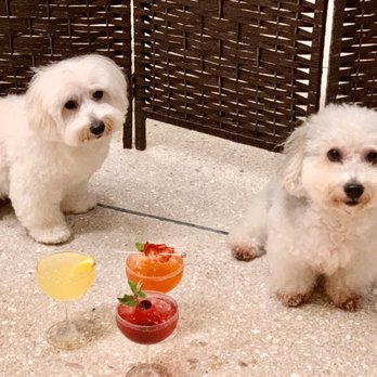 PAI Honolulu - Umami and Mushu - Happy Hour! - New American Near Me - Honolulu, Hawaii