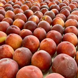 Floyds Fruit & Flowers
