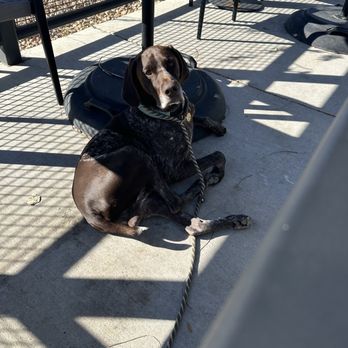 Starbucks - Outdoor seating - Coffee & Tea Near Me - Broomfield, Colorado Starbucks - Outdoor seating - Coffee & Tea Near Me - Broomfield, Colorado