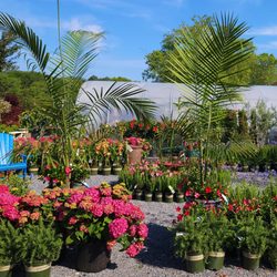 Eastland Farms
