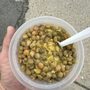 Photo of Sabor Latino