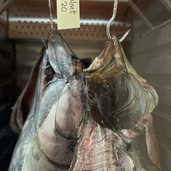 The Dutchess - Dry aged halibut - Cafes Near Me - Ojai, California The Dutchess - Dry aged halibut - Cafes Near Me - Ojai, California