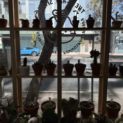 The Plant Sitter