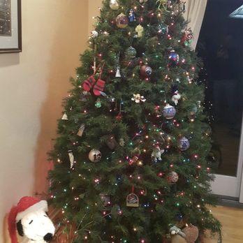 Pete's Trees - Christmas Trees - Christmas Trees Near Me - Walnut Creek, California