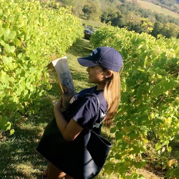 Bluemont Vineyard - Venues & Event Spaces Near Me - Bluemont, Virginia Bluemont Vineyard - Venues & Event Spaces Near Me - Bluemont, Virginia