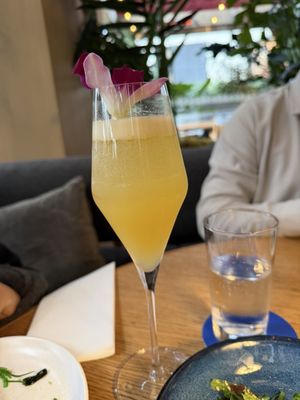 Katsuya Century City by null